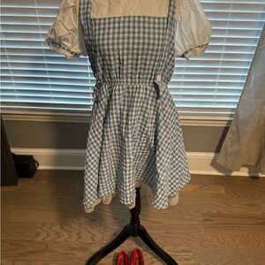 Women’s medium Dorothy dress costume with two hair bows